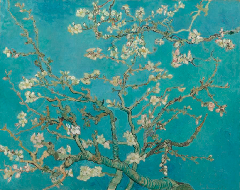 Almond Blossom ou Amendoeira em Flor, de Vincent van Gogh - Extraído do site Van Gogh Museum