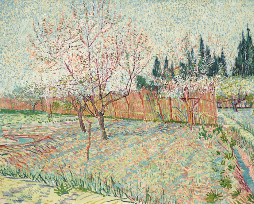 Verger avec cyprès - Orchard with Cypresses - Pomar com Ciprestes - de Vincent van Gogh, abril de 1888 - Fonte: theartnewspaper.com